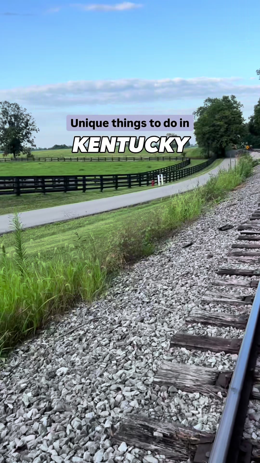 Rail Biking and Bluegrass Adventures
