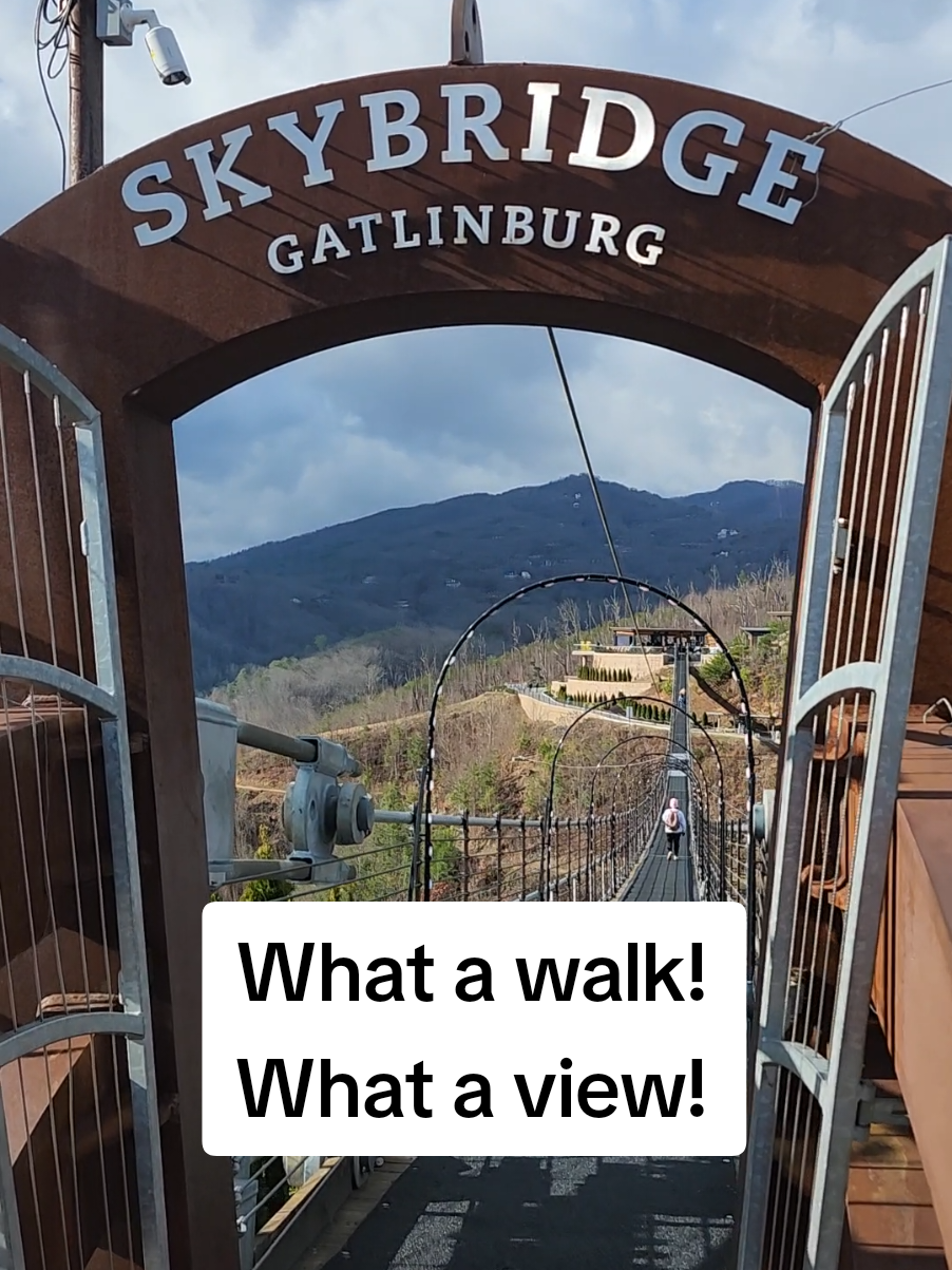 Skybridge: A Unique Elevated Walkway
