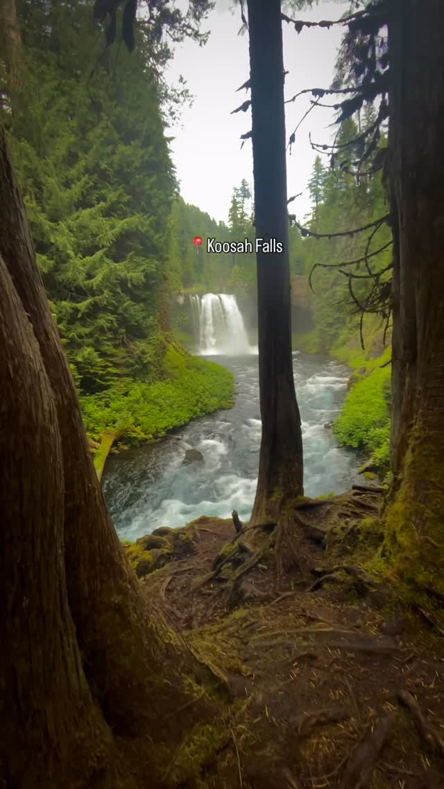 Oregon's McKenzie River Waterfalls Trail