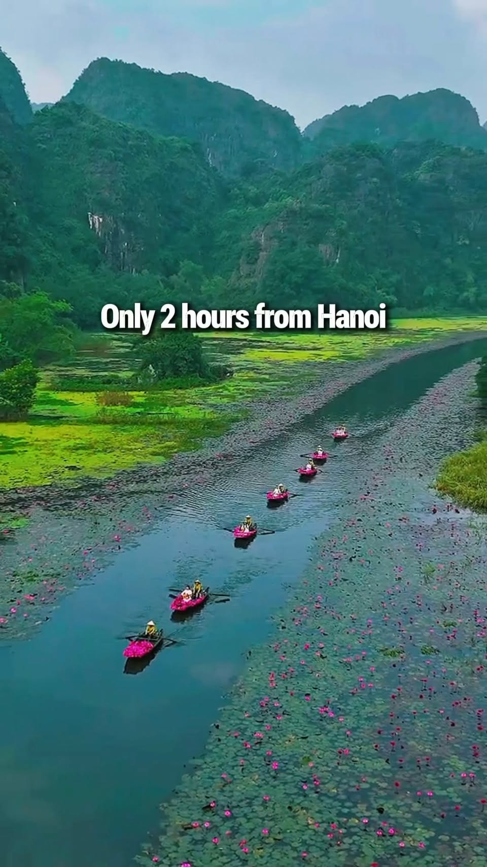 Ninh Binh's Karsts and River Valleys