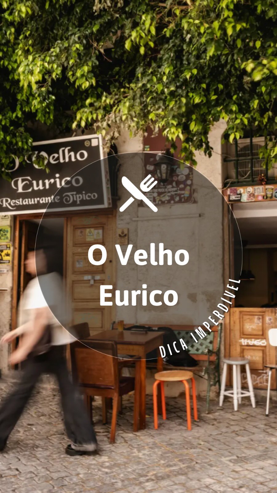 Lisbon's Famous O Velho Eurico Restaurant Review