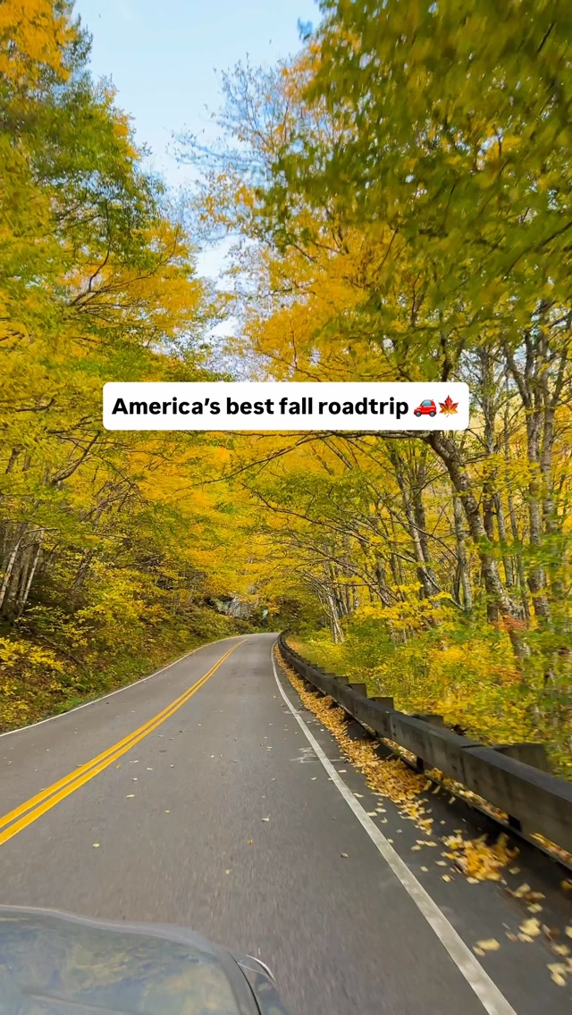 Vermont Fall Roadtrip: Cider, Ice Cream, and Cafes