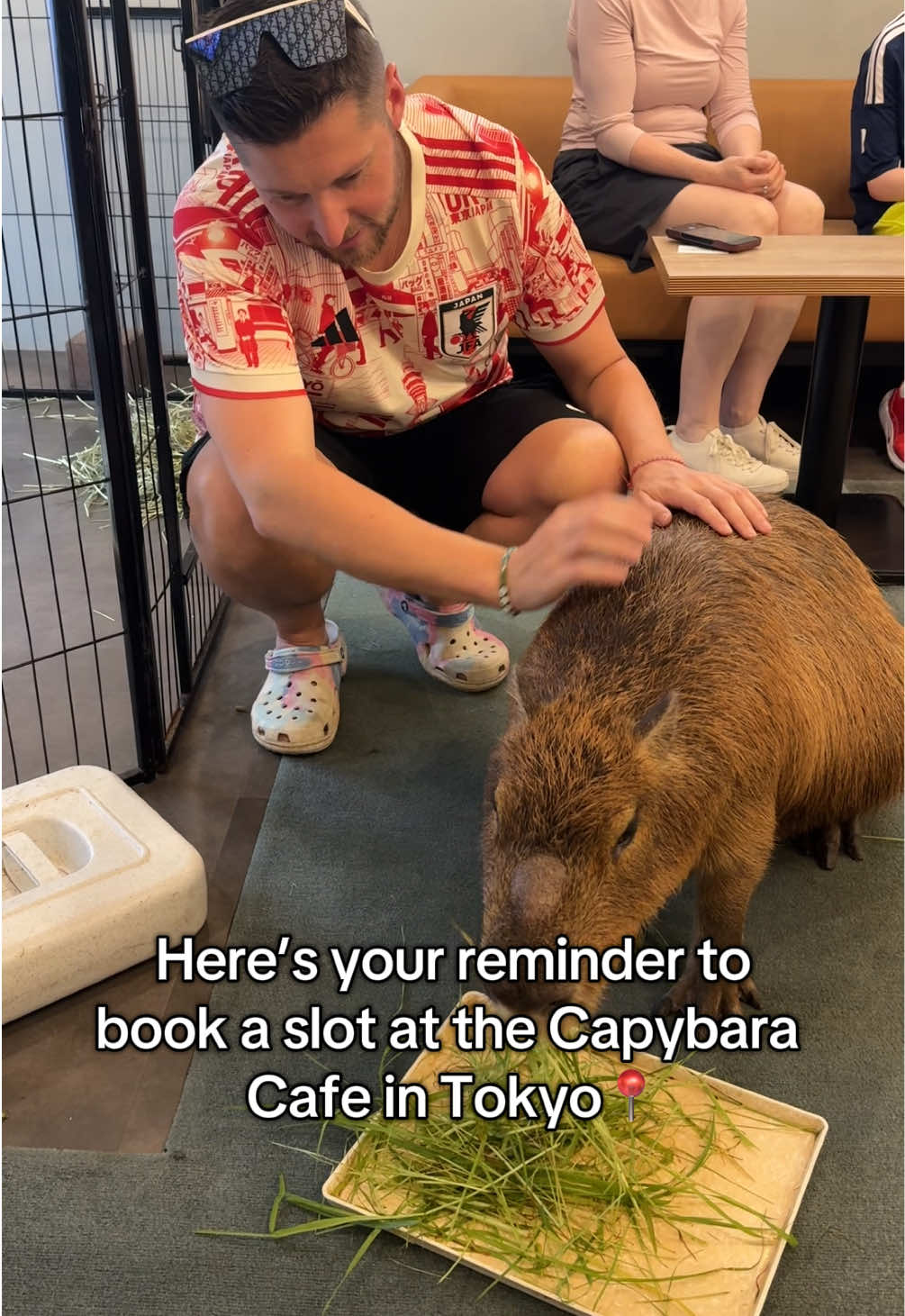 Capybara Cafe for a Unique Tokyo Experience