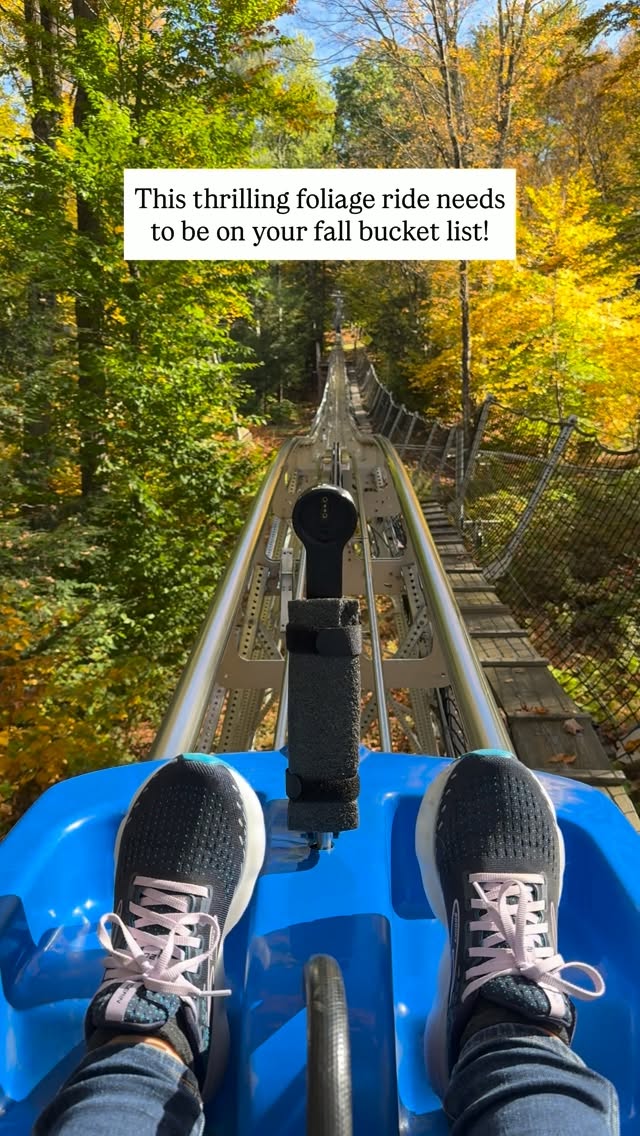 New England Mountain Coasters Offer Foliage Thrills