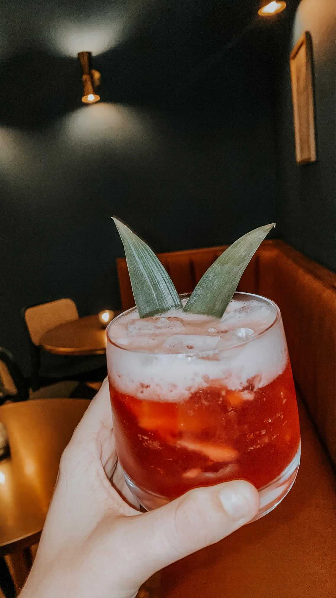 Tampa Bay Speakeasy Bar Found Behind Bodega