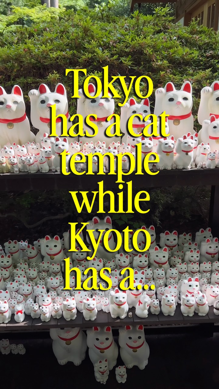 Temples Featuring Boar and Cat Motifs