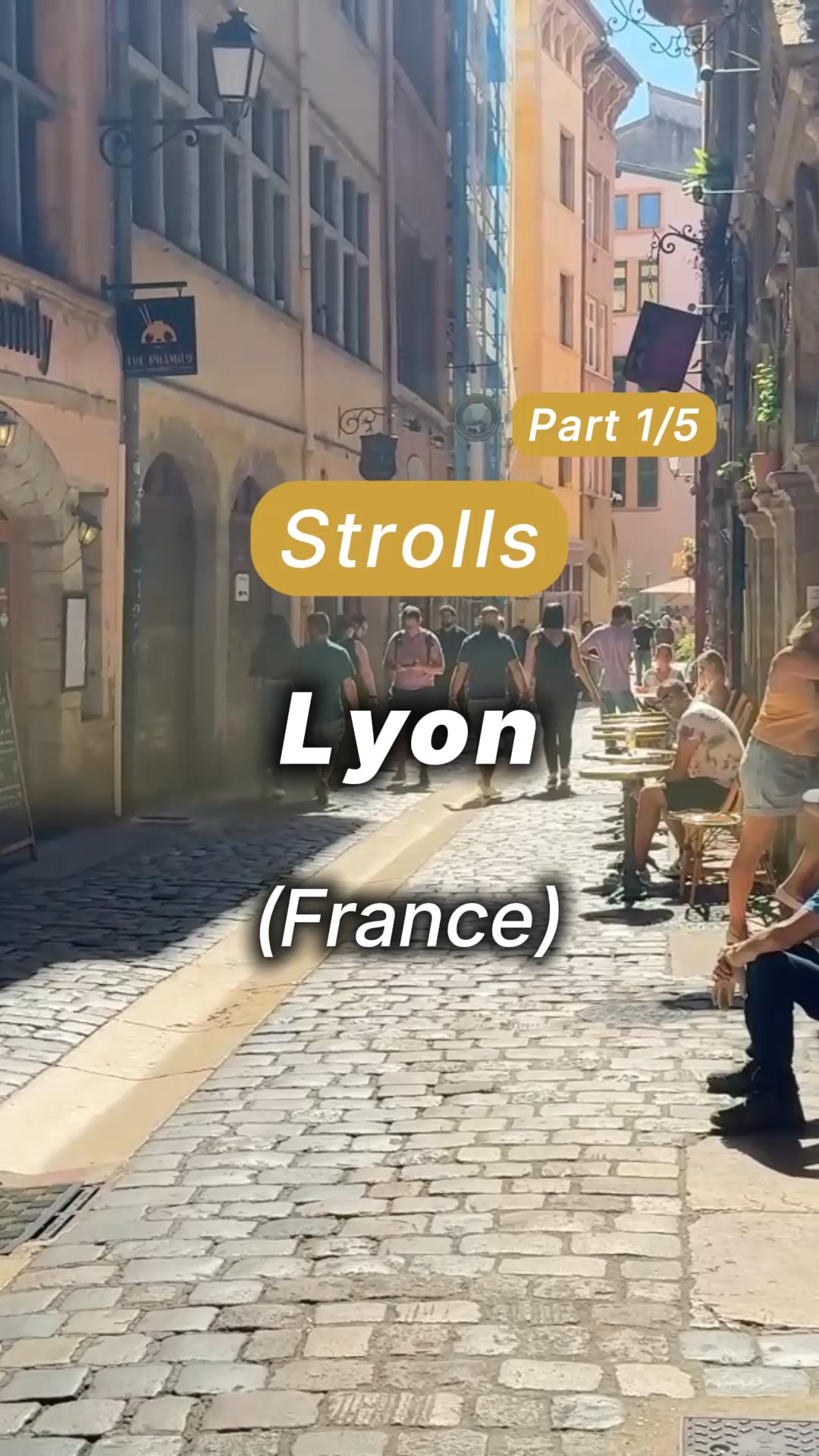 Historic Lyon Neighborhoods Along the Saône