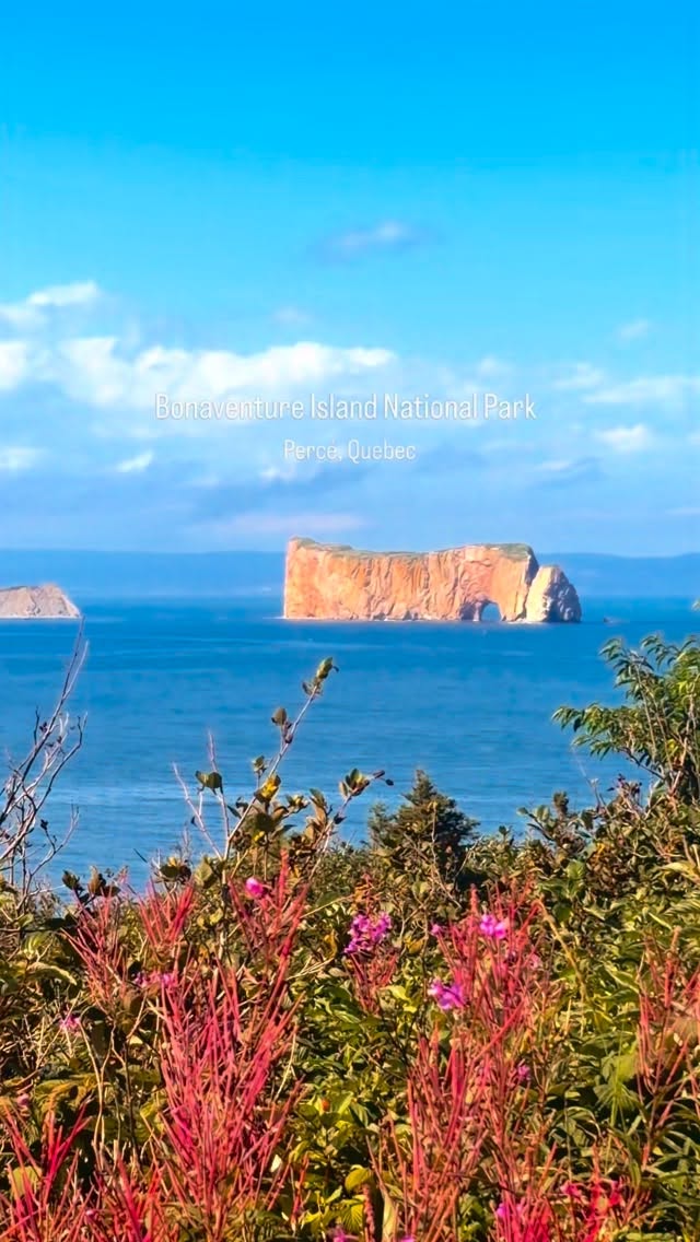Bonaventure Island's Untouched Natural Beauty