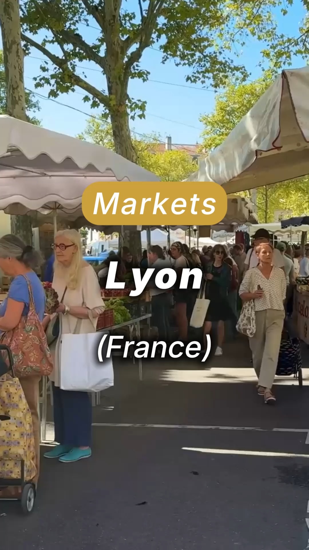 Lyon's Vibrant Food Markets