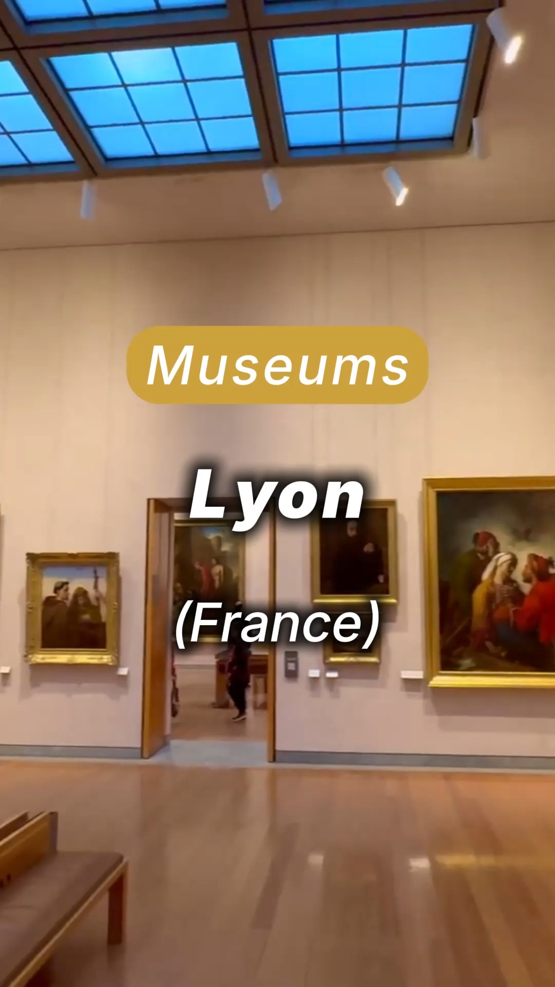 Two Lyon Museums: Roman History and Fine Arts
