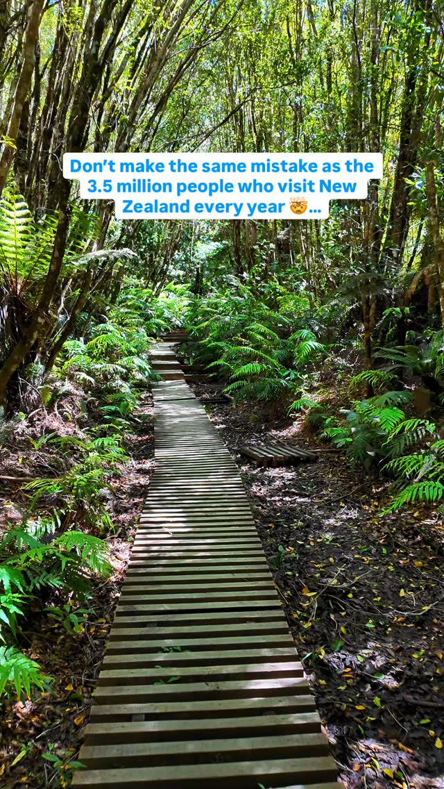 Taranaki Region's Epic Natural Landmarks