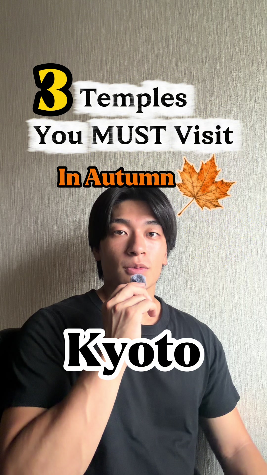 Kyoto Temples For Stunning Autumn Leaf Views