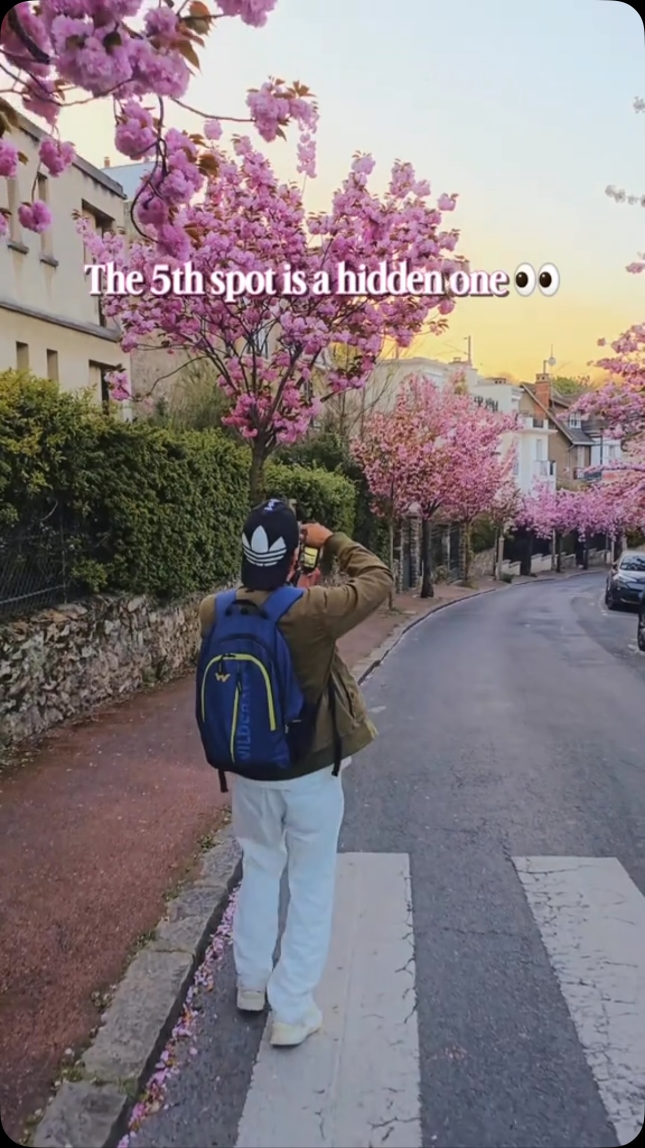 Paris's Best Cherry Blossom Viewing Spots