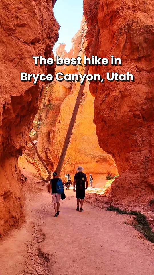 Bryce Canyon And Navajo Loop Trails