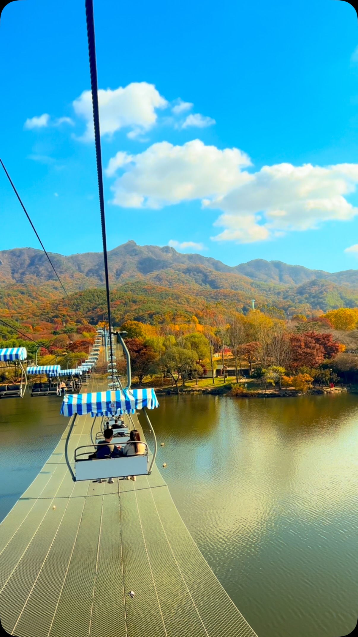 Seoul Grand Park Autumn Views