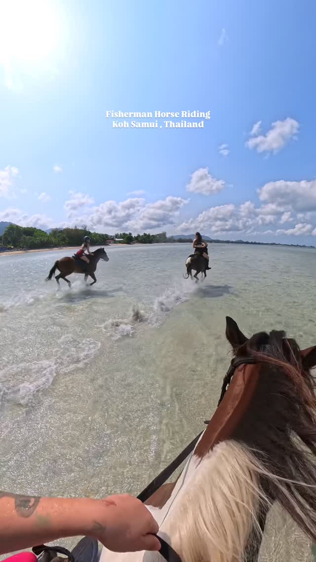 Fisherman Horse Riding Samui Beach