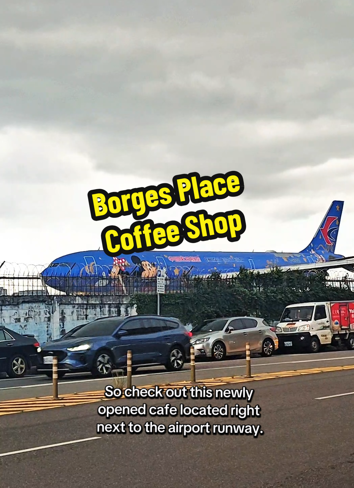 Taipei's New Pet-Friendly Airplane Viewing Cafe