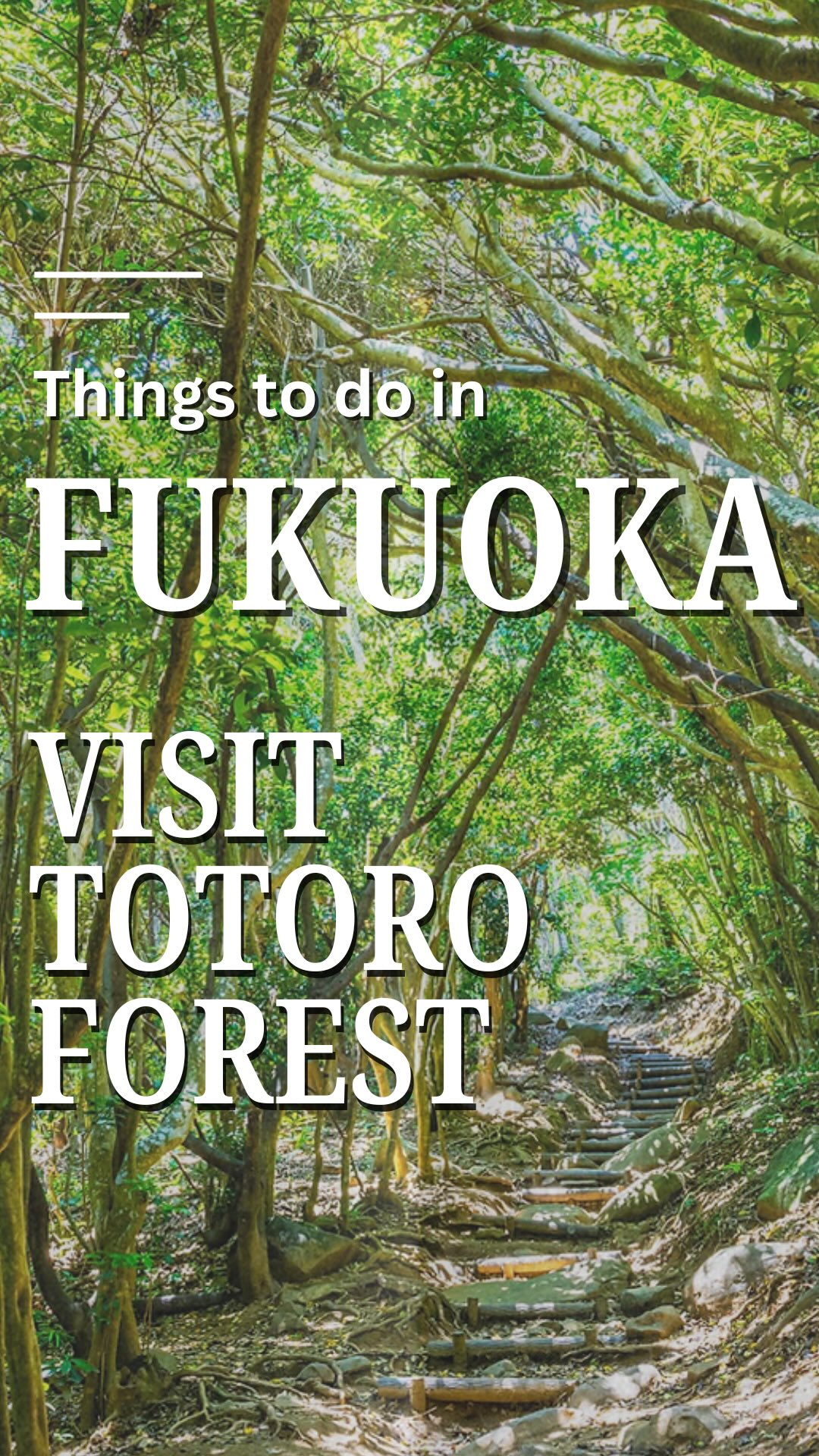 Fukuoka's Enchanting Forest and Coastal Scenery