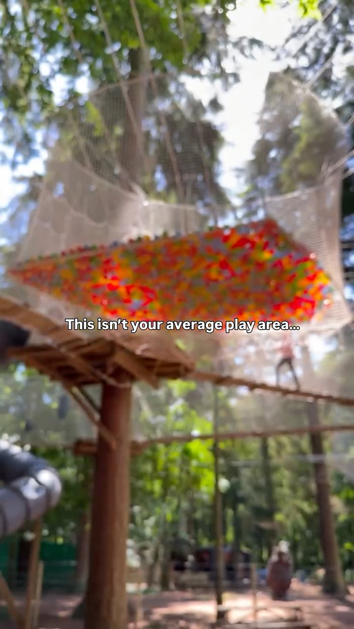 Aerial Adventures In Thetford Forest