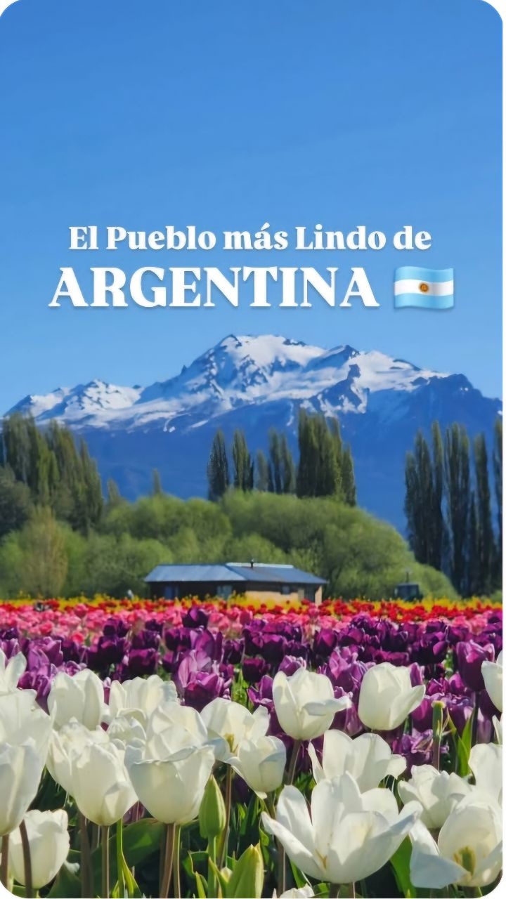 Tulip Fields and Welsh Heritage in Southern Argentina