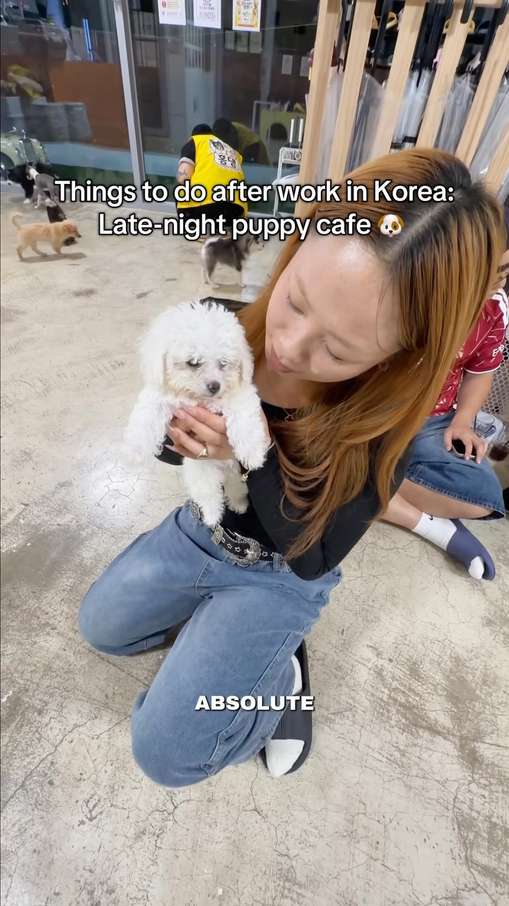 Sushi and Puppy Cafes for Post-Work Relaxation