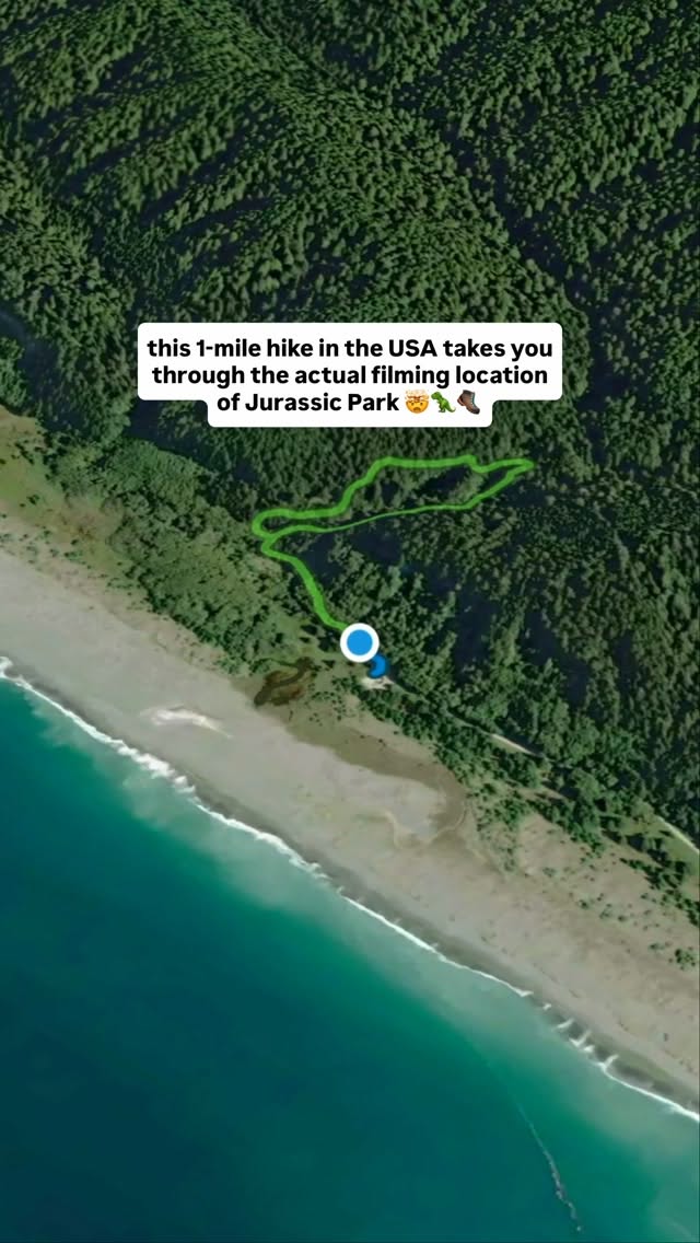 Fern Canyon: A Jurassic Park Hiking Gem