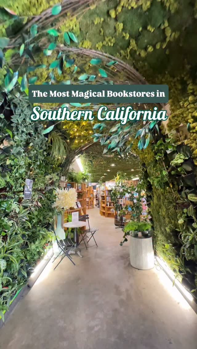 Four Unique Bookstores Offering Immersive Experiences