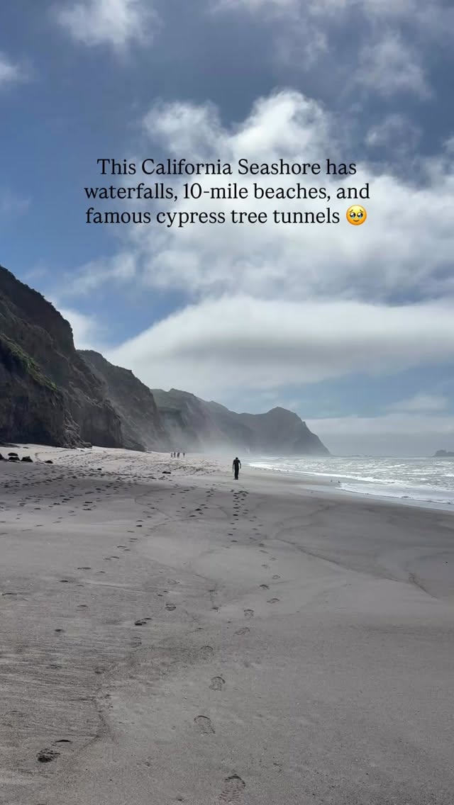 Point Reyes National Seashore's Natural Wonders
