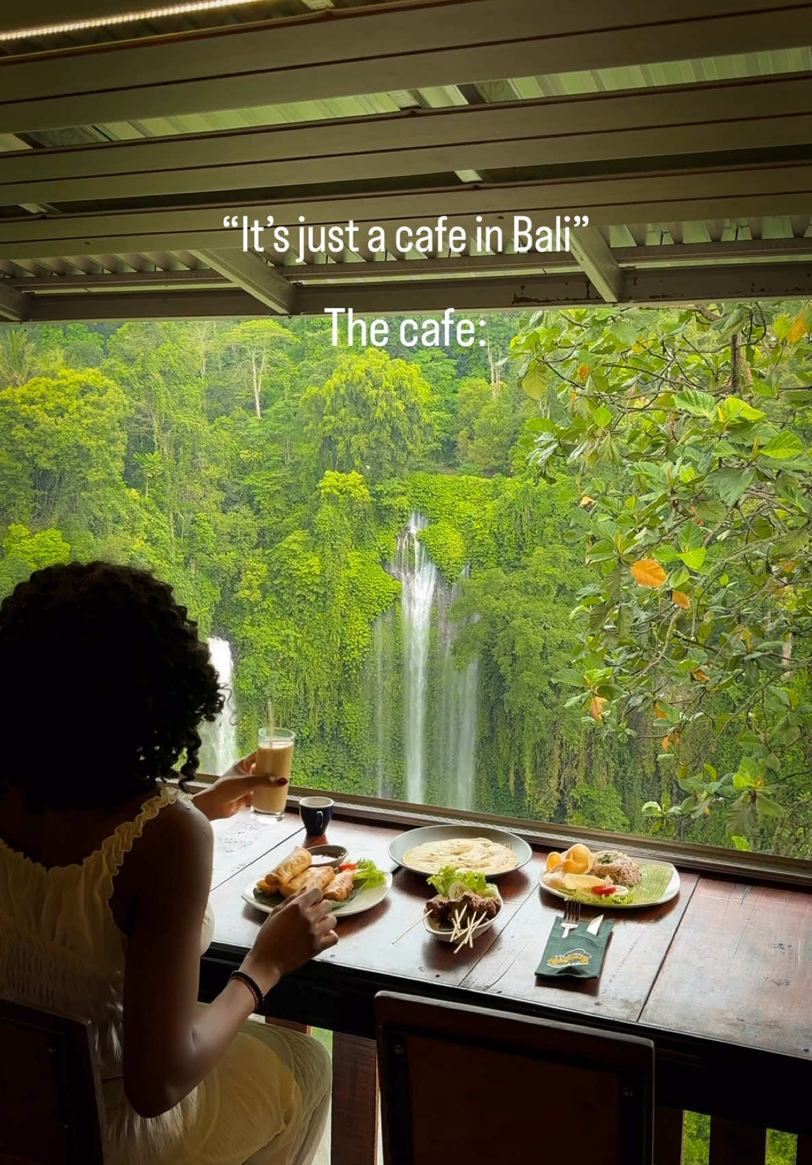 North Bali Waterfalls and Scenic Dining