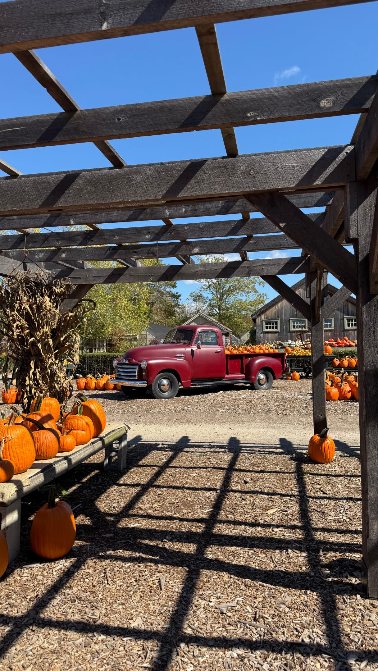 The Farmer's Daughter Fall Day Trip