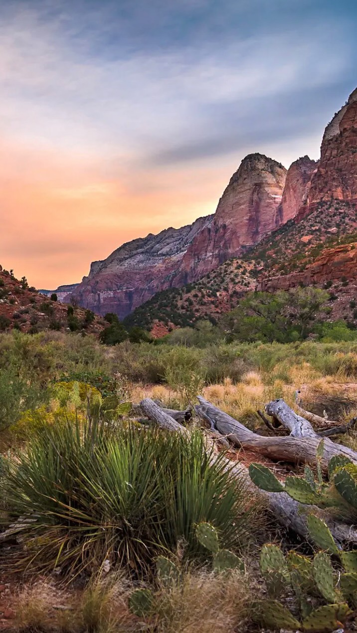 Navigating Zion National Park With Shuttle Tips