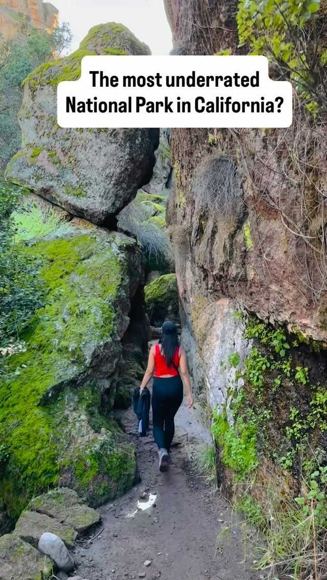 Pinnacles National Park Volcanic Formations and Caves