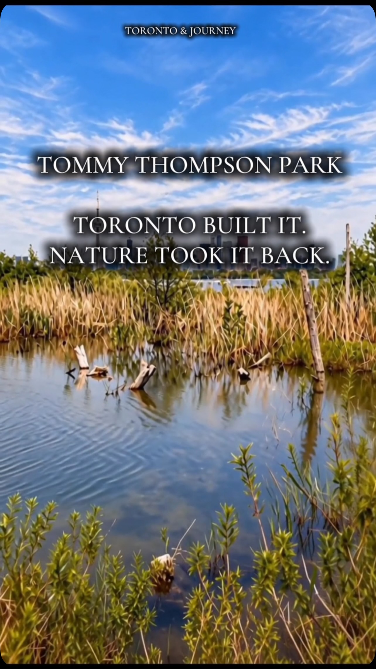 1 Places in Toronto