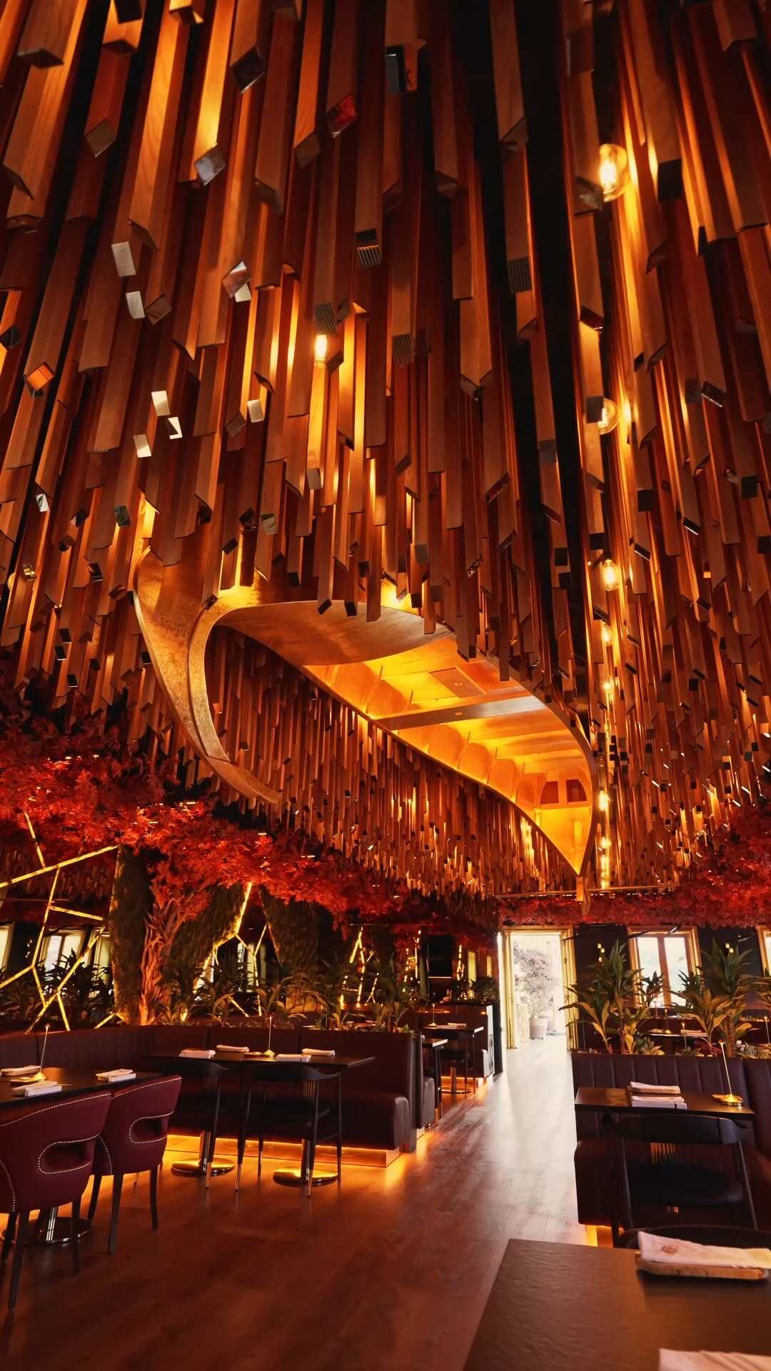 Subenshi Gaia's Elegant Interiors