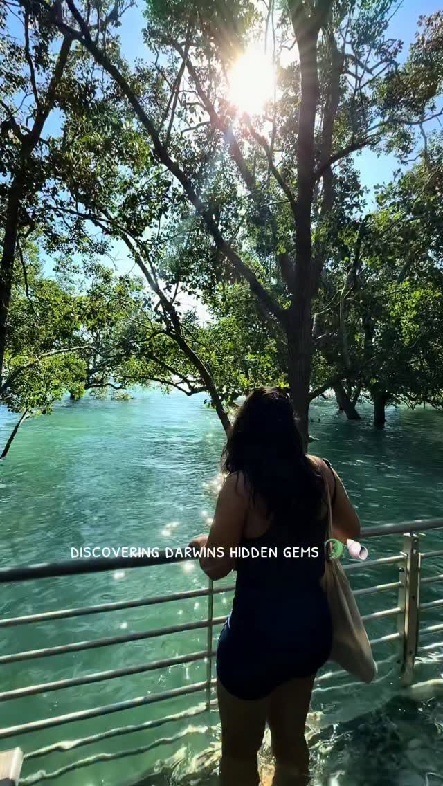 Mangrove Boardwalk With Turquoise Waters