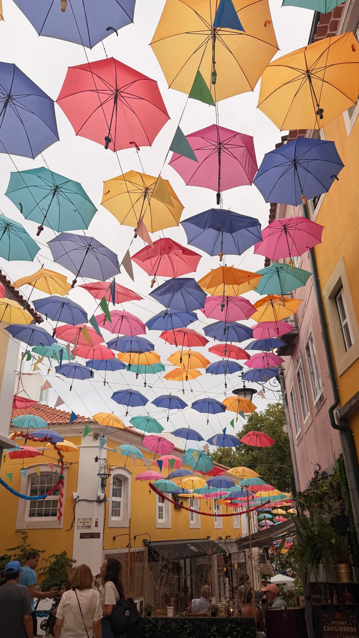 Caldas da Rainha: Parks, Pastries, and Phallic Art
