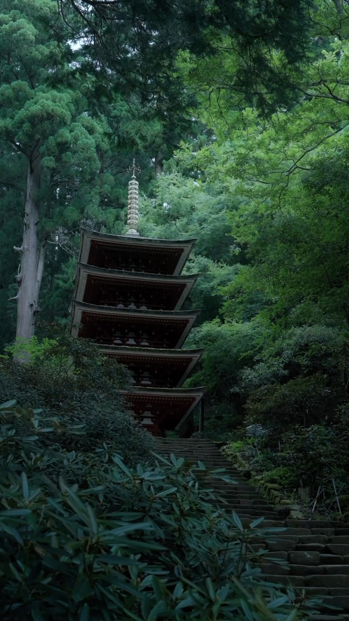 Temples And Nature In Japan's Kansai Region