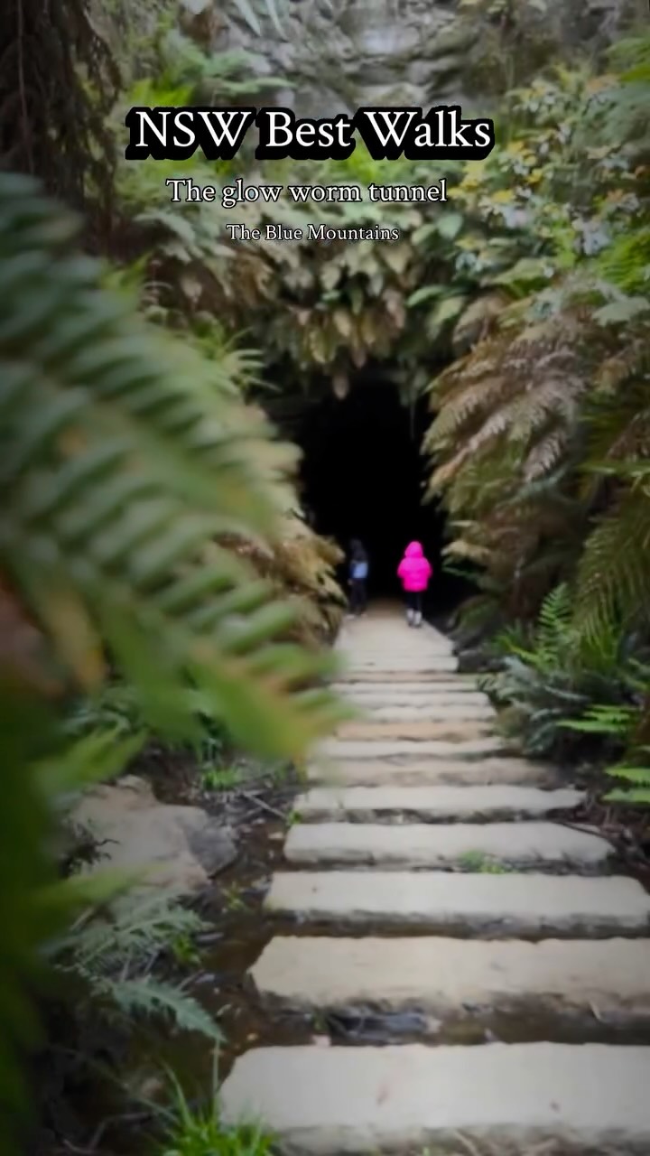 Blue Mountains Glow Worm Tunnel Adventures