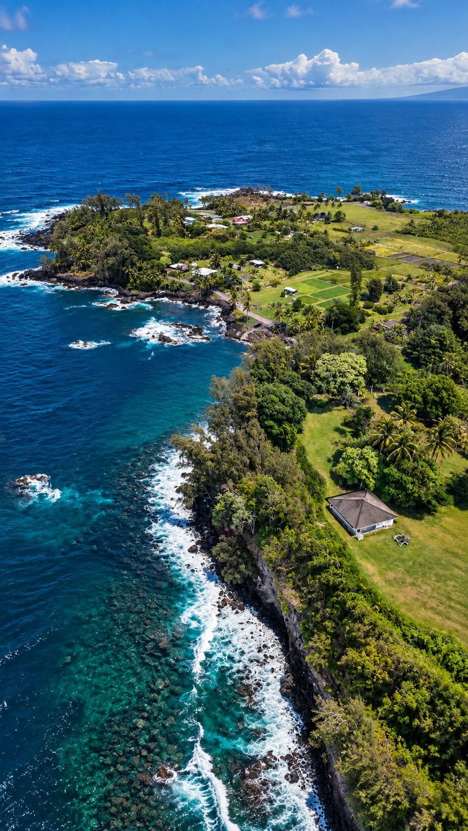 Maui's Top Foodie Spots: Plate Lunches to Famous Pies
