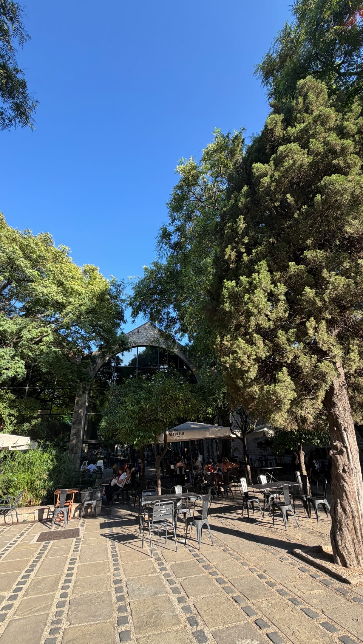 Barcelona Maritime Museum's Royal Shipyards Garden