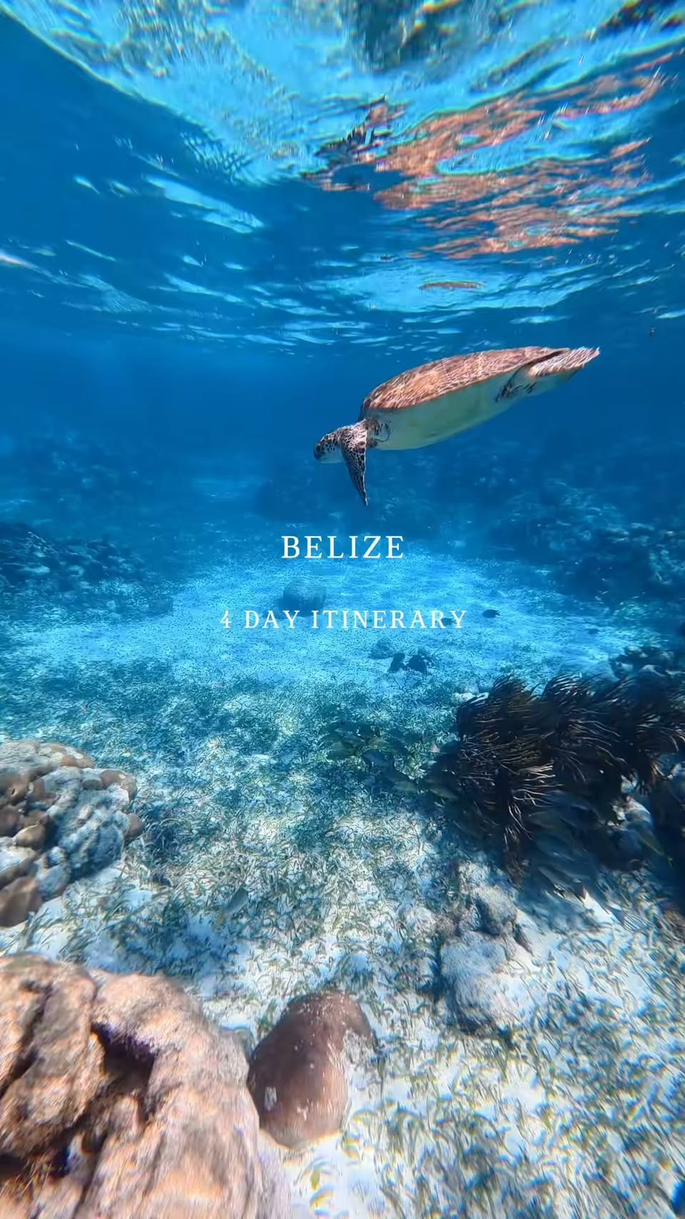 Four Belizean Natural and Archaeological Wonders