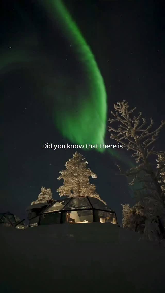 Glass Igloos And Unique Restaurant In Lapland