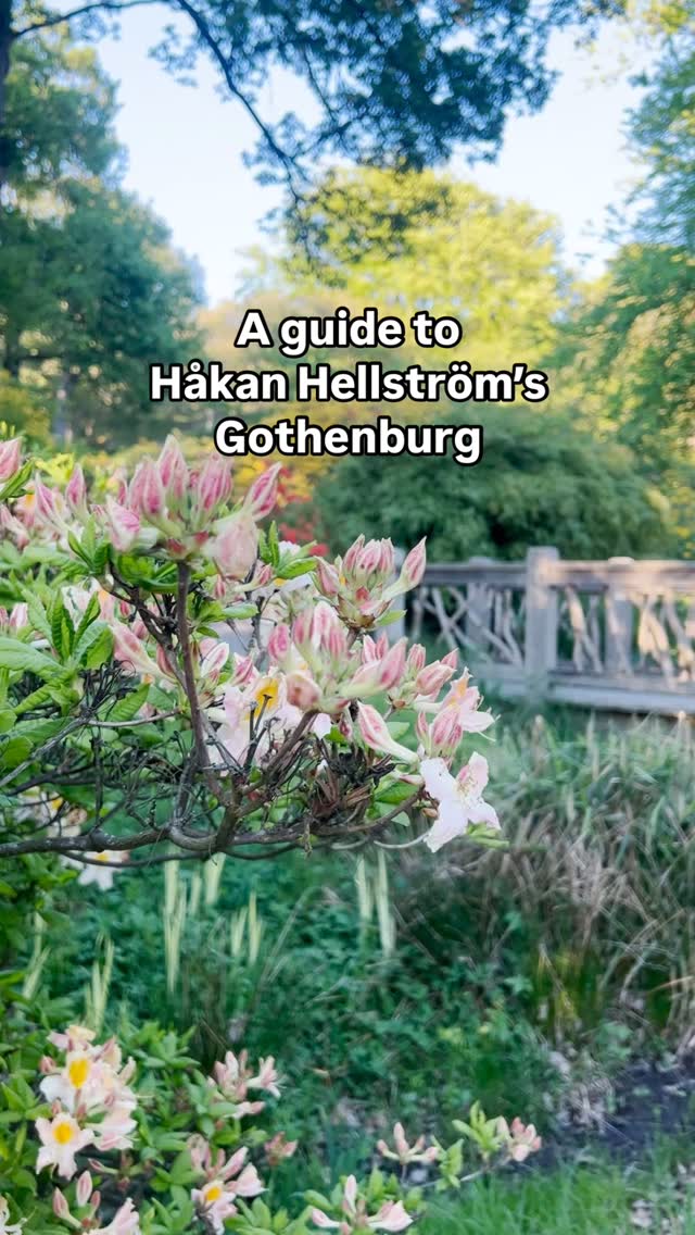 Gothenburg Locations From Håkan Hellström's Lyrics