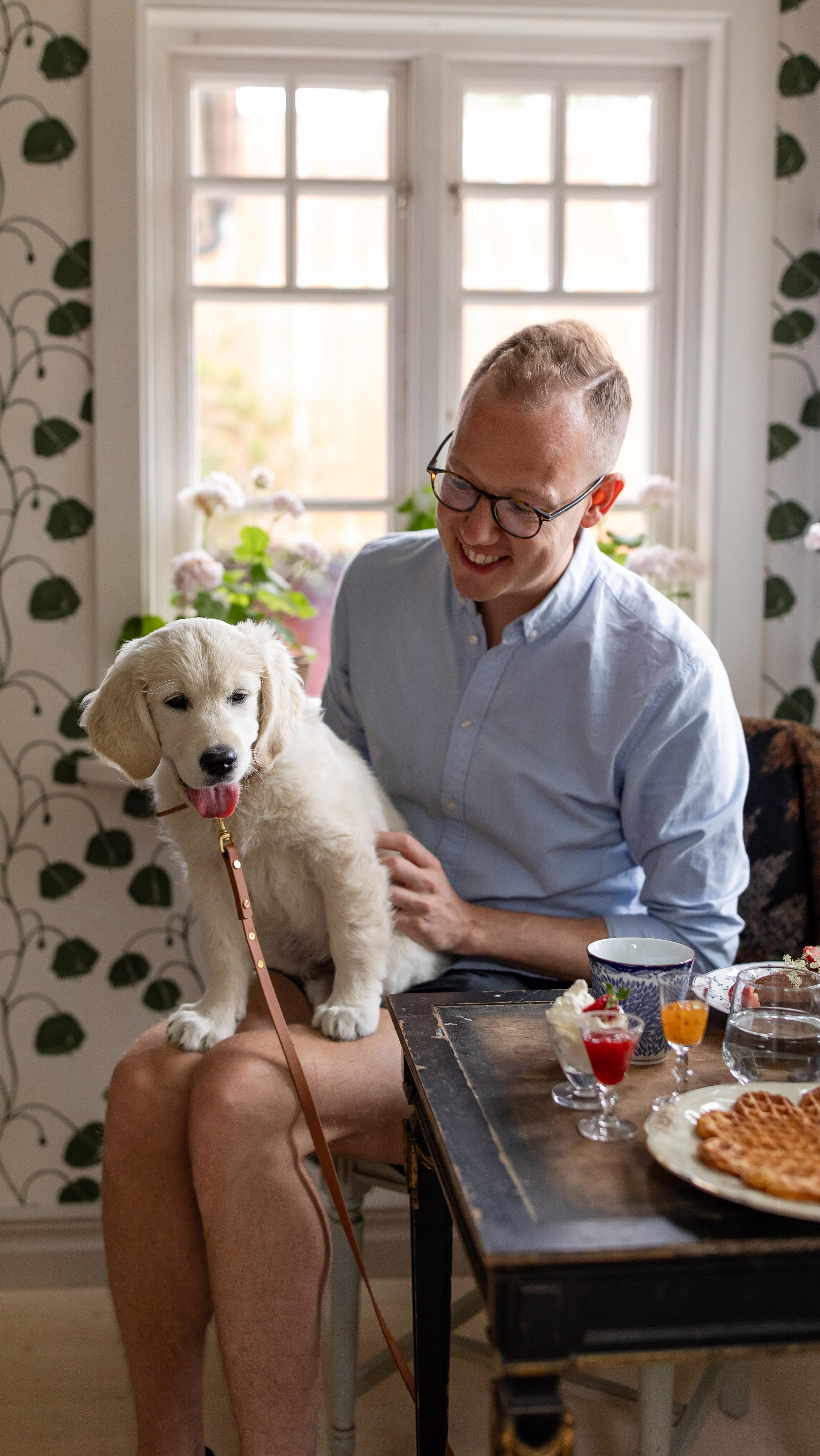 Cozy Swedish Farm Cafe Welcomes Dogs