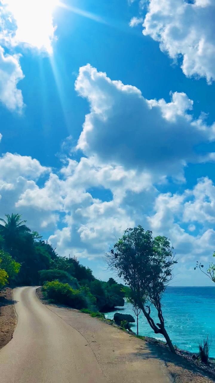 Bonaire Coastal Road Views