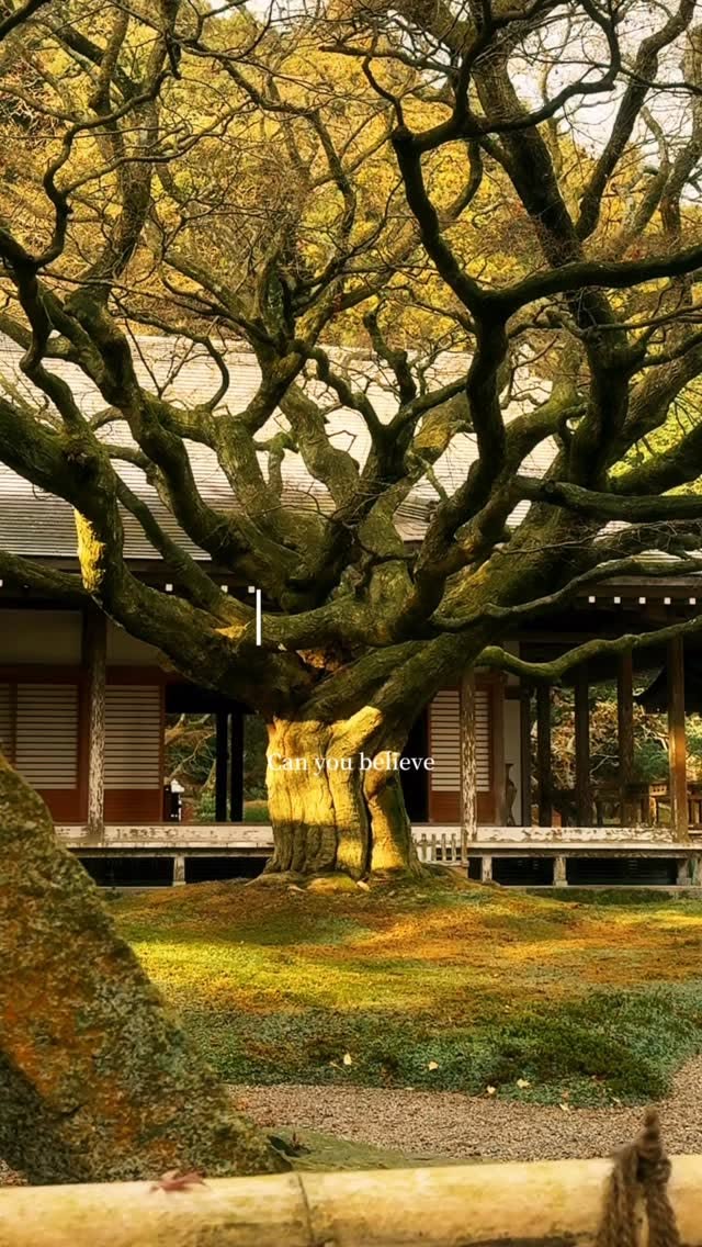 Fukuoka Bus Tour: Shrines, Temples, and Canal Cruise