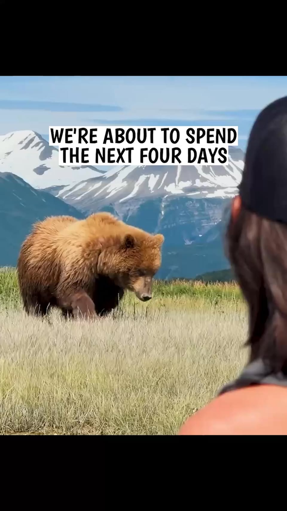 Alaska's Wild Grizzlies: A Katmai National Park Adventure