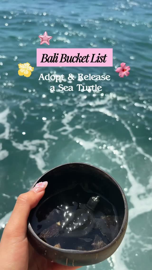 Turtle Conservation Education Center In Bali