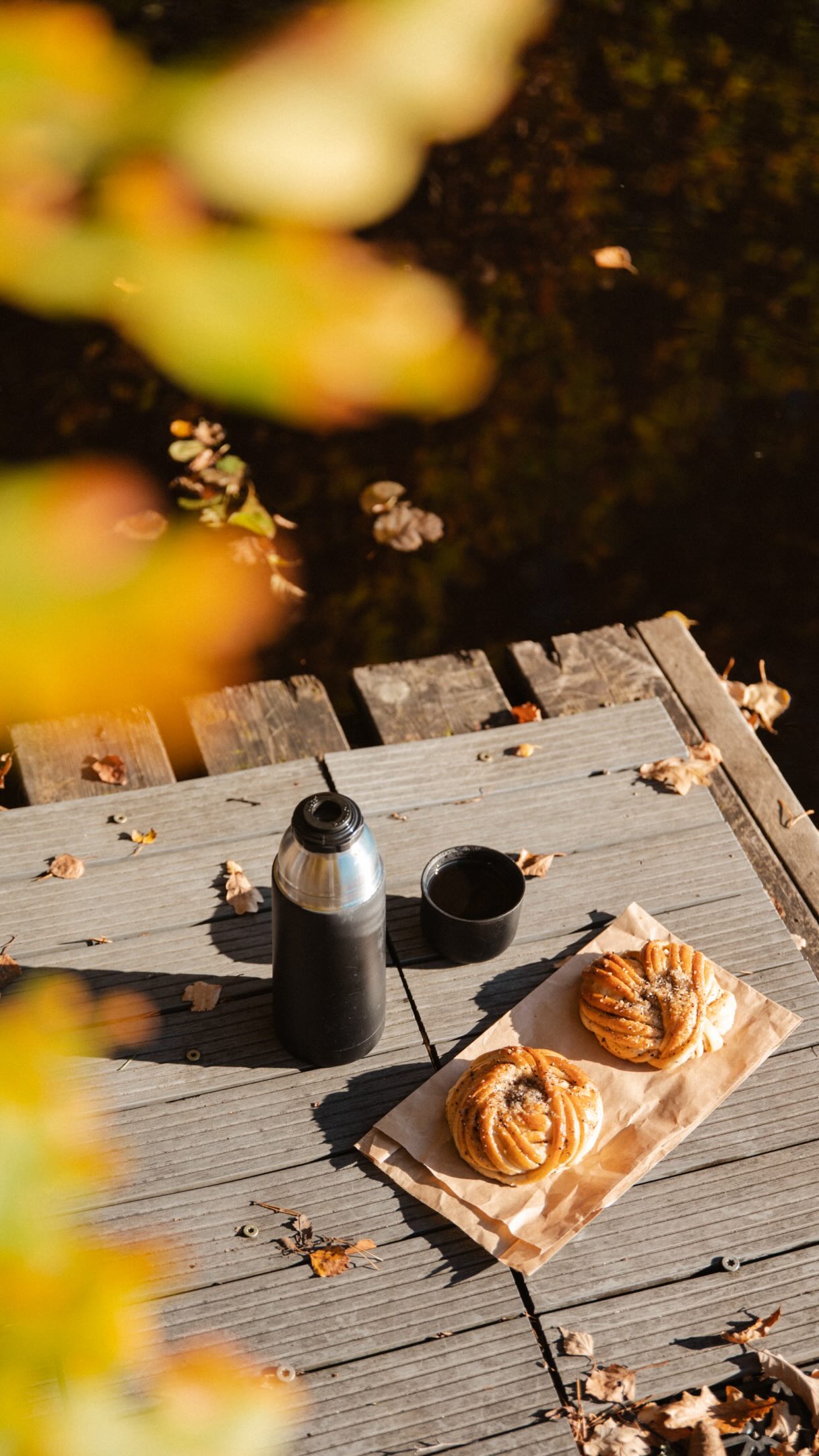 Autumn Beauty At Ätraforsdammen Recreational Area
