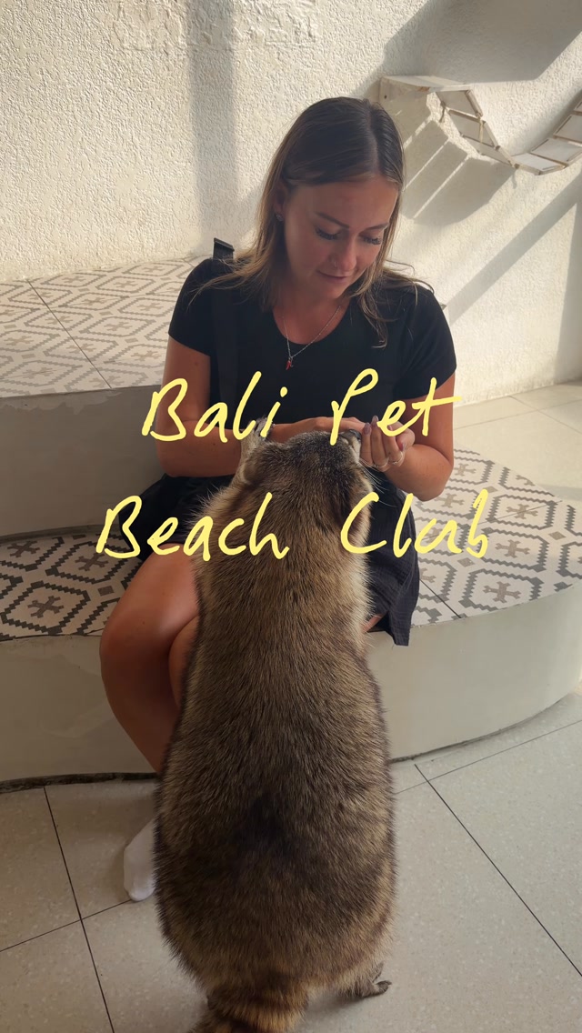 Bali Pet Nirvana: A Unique Animal Beach Club